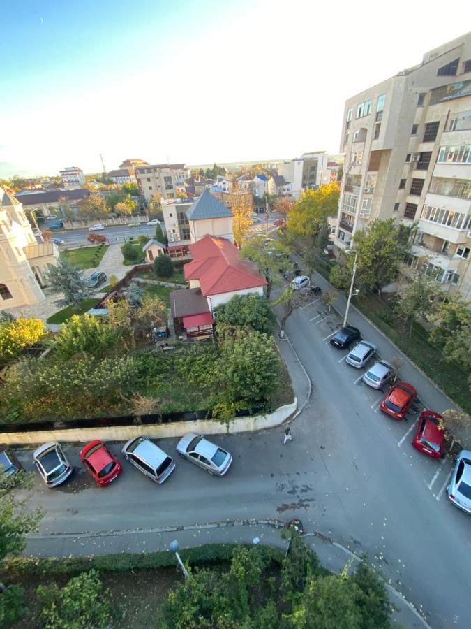 Yoko Craiova